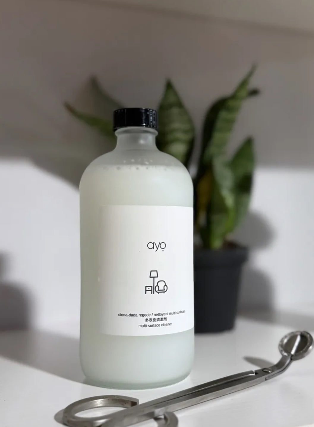 Multi-Surface Cleanser