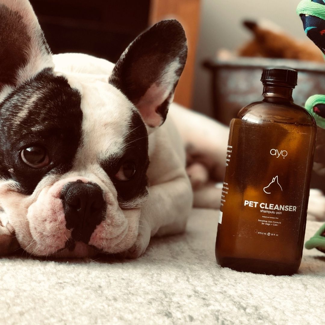 Pet Shampoo