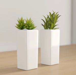 2-Piece Artificial Succulent Plant in Pot Set